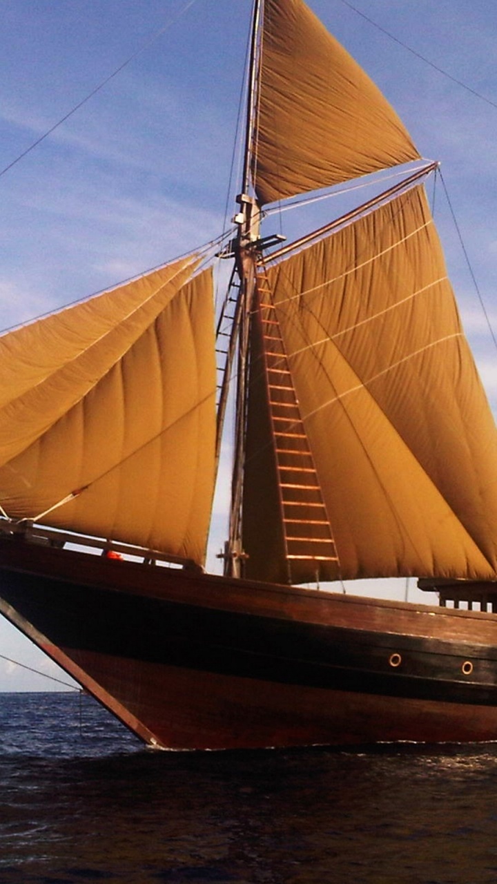 Brown and White Sail Boat on Sea During Daytime. Wallpaper in 720x1280 Resolution