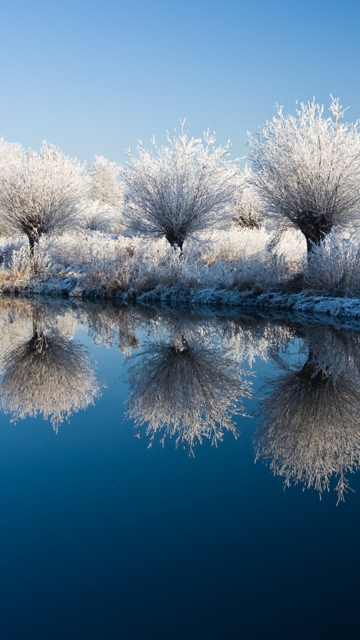 Arbres Blancs Sur le Sol Couvert de Neige à Côté du Lac Pendant la Journée. Wallpaper in 720x1280 Resolution