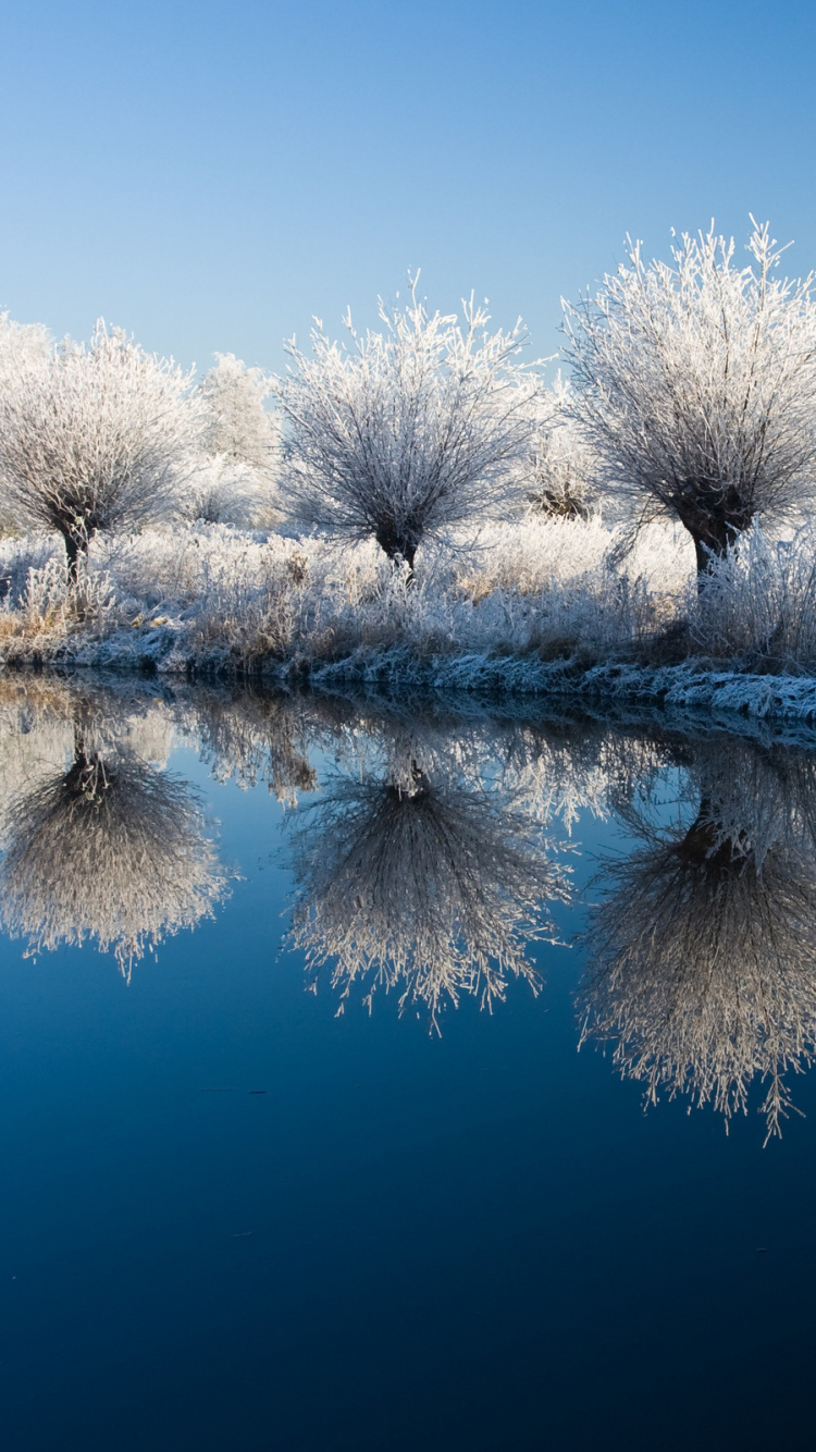 Arbres Blancs Sur le Sol Couvert de Neige à Côté du Lac Pendant la Journée. Wallpaper in 750x1334 Resolution