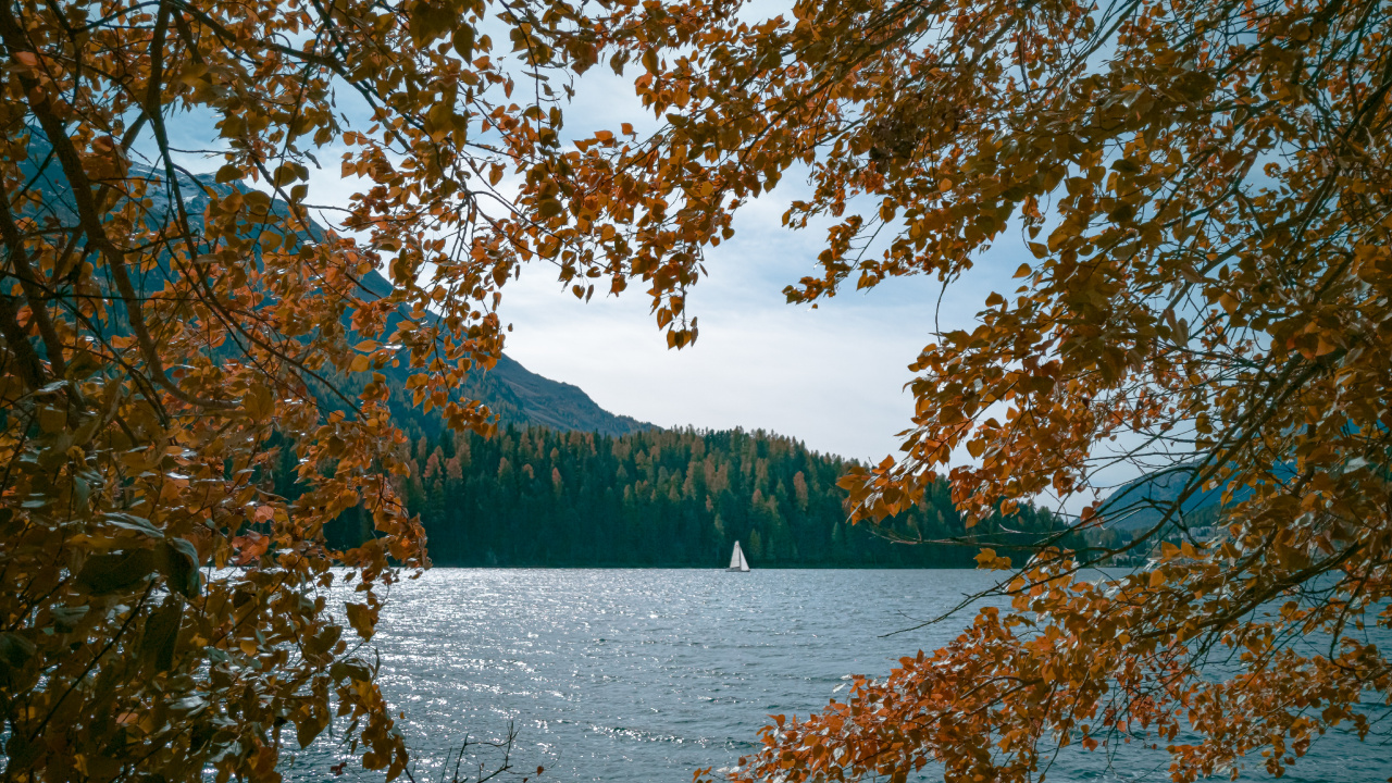 Body of Water, Tree, Nature, Leaf, Water. Wallpaper in 1280x720 Resolution