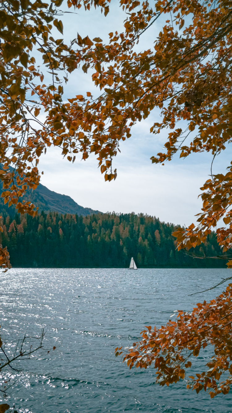 Body of Water, Tree, Nature, Leaf, Water. Wallpaper in 750x1334 Resolution