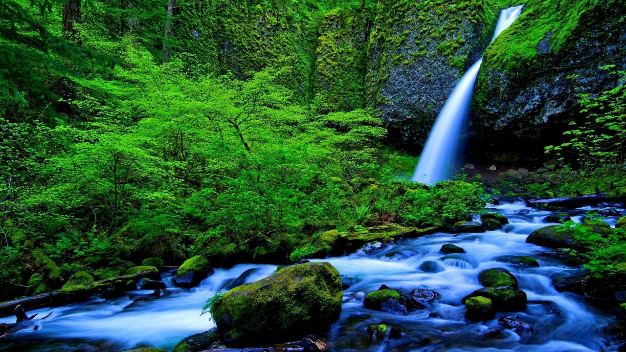 el Agua Cae en Medio Del Bosque. Wallpaper in 1280x720 Resolution