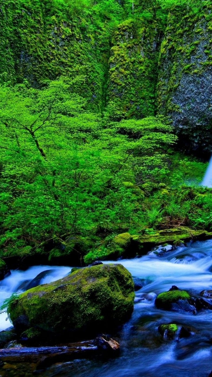 el Agua Cae en Medio Del Bosque. Wallpaper in 720x1280 Resolution
