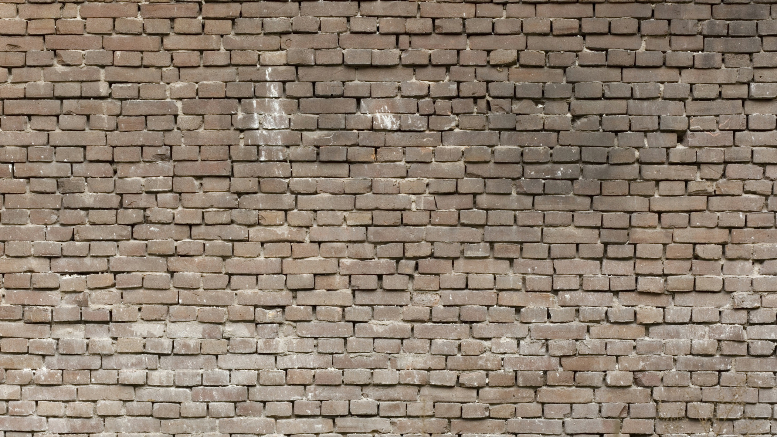 Brown Brick Wall During Daytime. Wallpaper in 2560x1440 Resolution