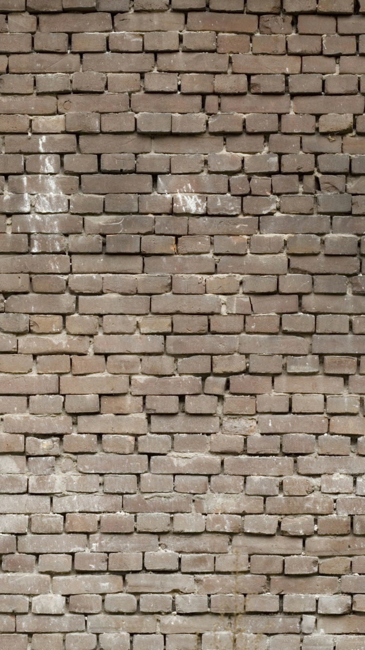 Brown Brick Wall During Daytime. Wallpaper in 750x1334 Resolution