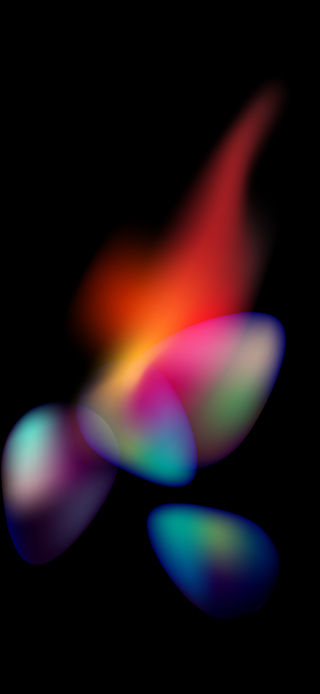 Close Up, Physics, Science, Colorfulness, Petal. Wallpaper in 1242x2688 Resolution