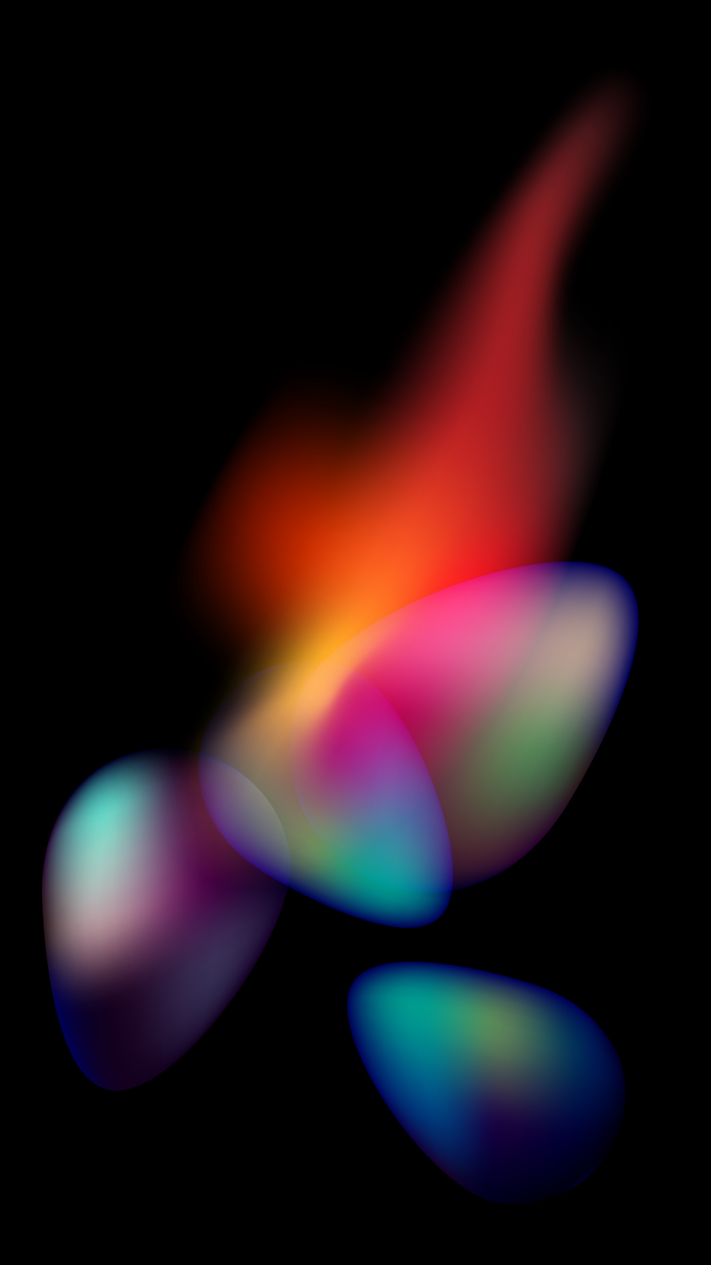 Close Up, Physics, Science, Colorfulness, Petal. Wallpaper in 1440x2560 Resolution