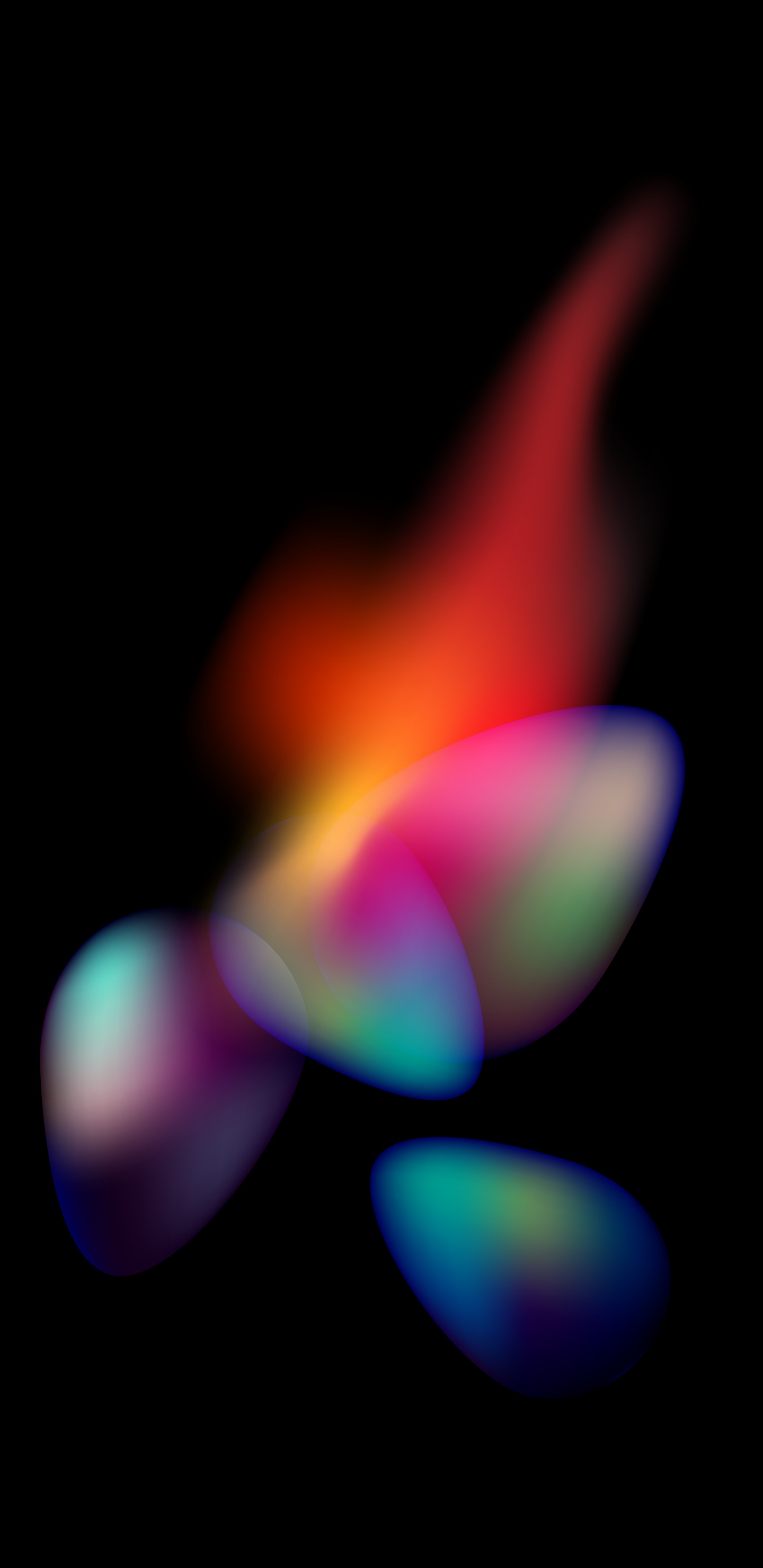 Close Up, Physics, Science, Colorfulness, Petal. Wallpaper in 1440x2960 Resolution