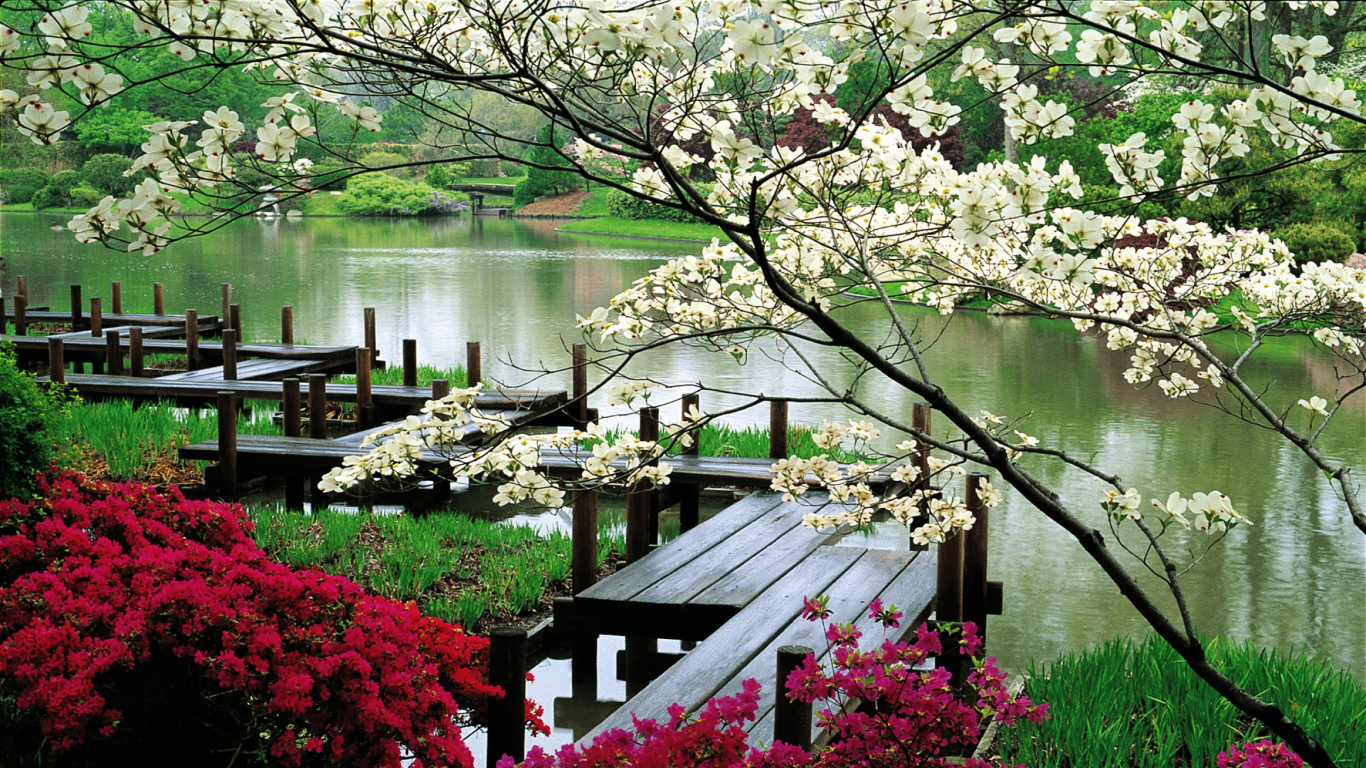 Brown Wooden Dock Near Body of Water During Daytime. Wallpaper in 1366x768 Resolution