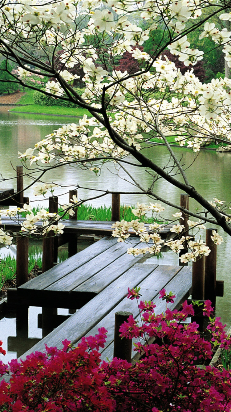 日本, 日本花园, 花园, 日本摇滚乐园, 性质 壁纸 750x1334 允许