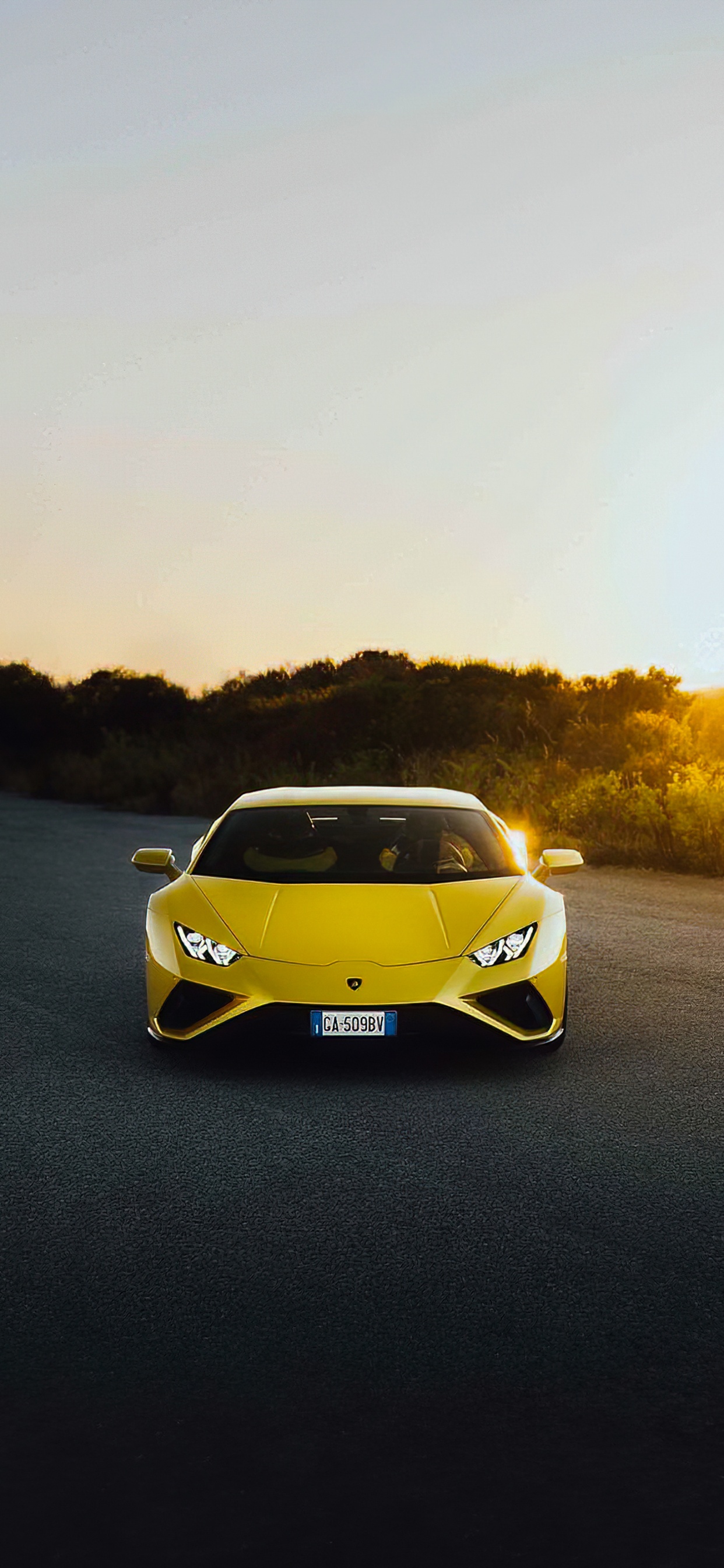 Lamborghini, Coche, Lamborghini Aventador, Lamborghini Huracan Evo, Deportivo. Wallpaper in 1242x2688 Resolution