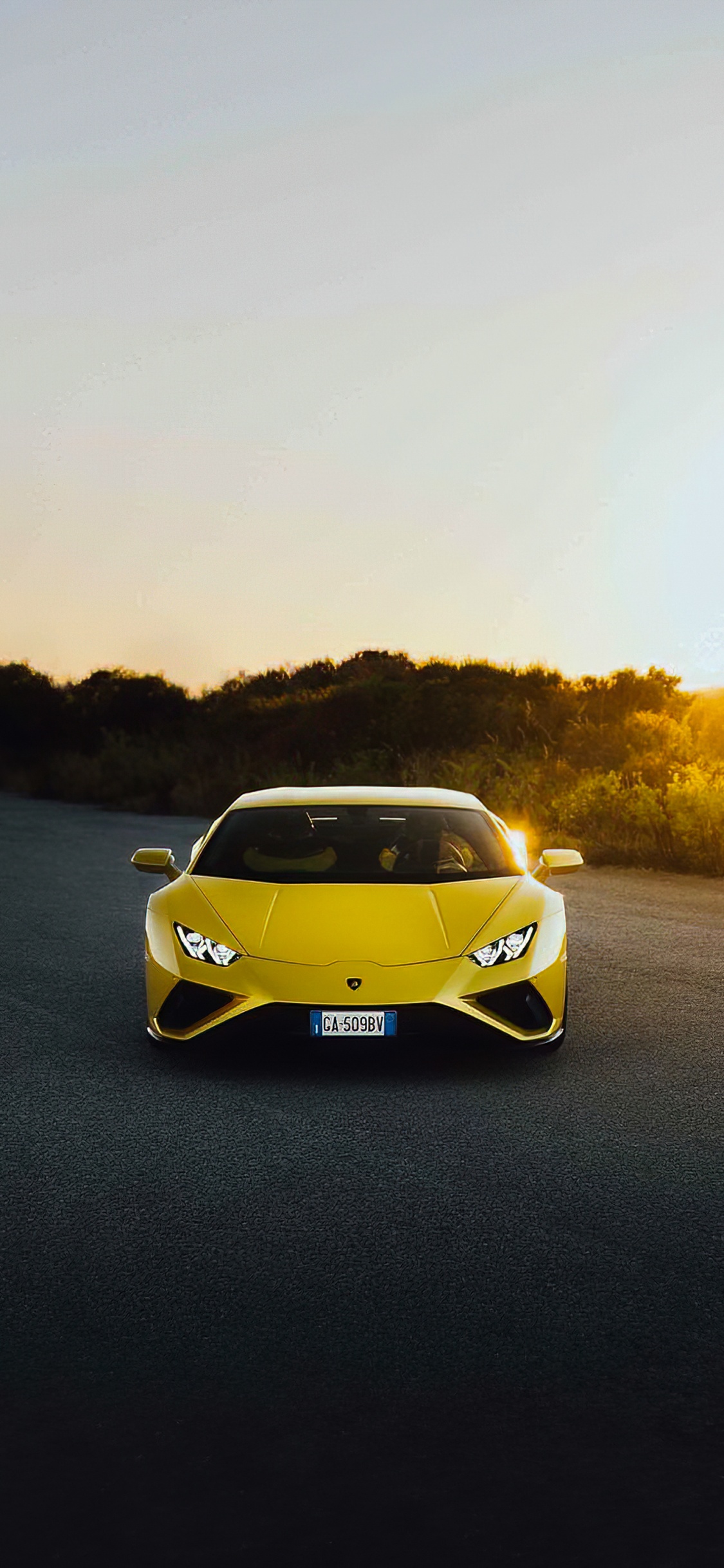 Lamborghini, Lamborghini Aventador, Lamborghini Huracan Evo, Supercar, Voiture de Luxe. Wallpaper in 1125x2436 Resolution