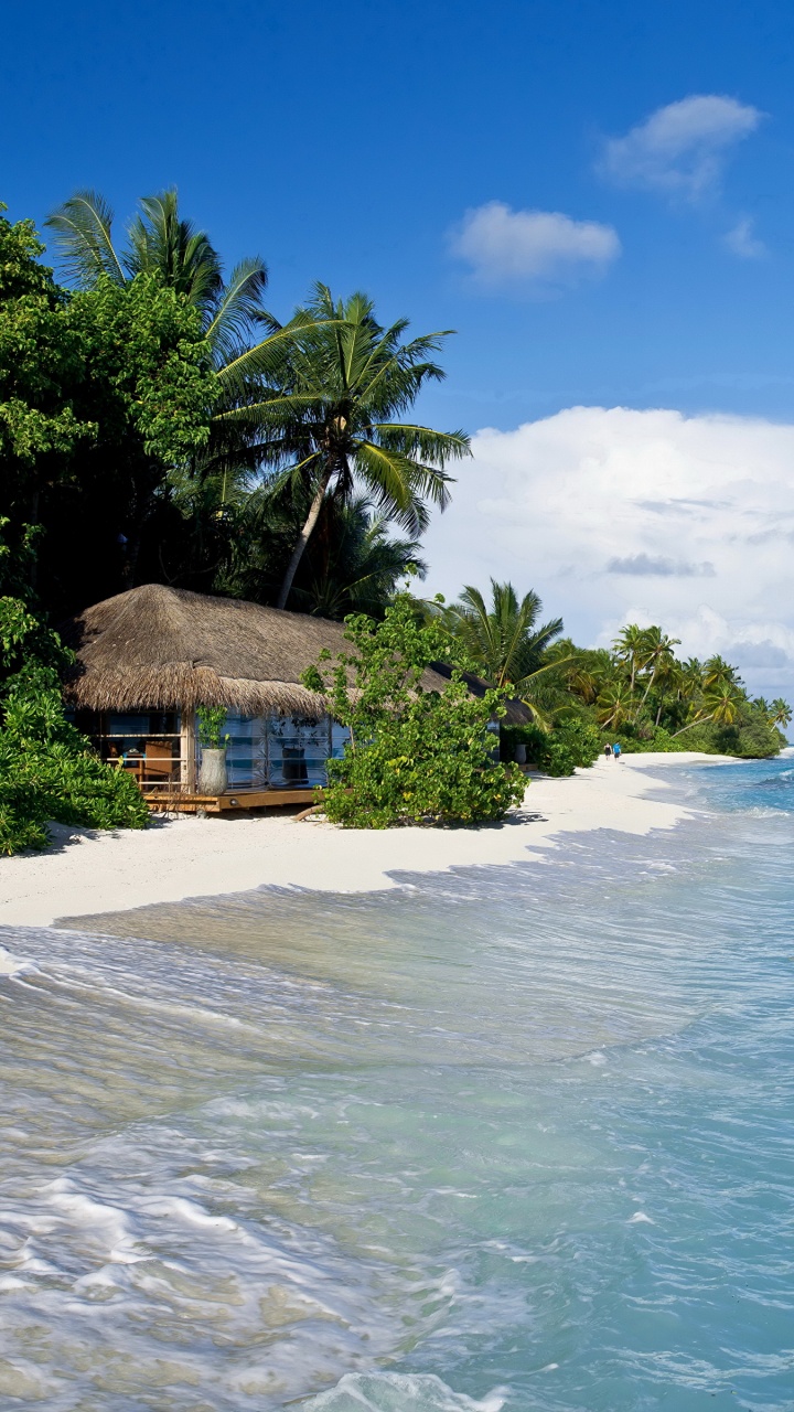 Brown Wooden House Near Body of Water During Daytime. Wallpaper in 720x1280 Resolution