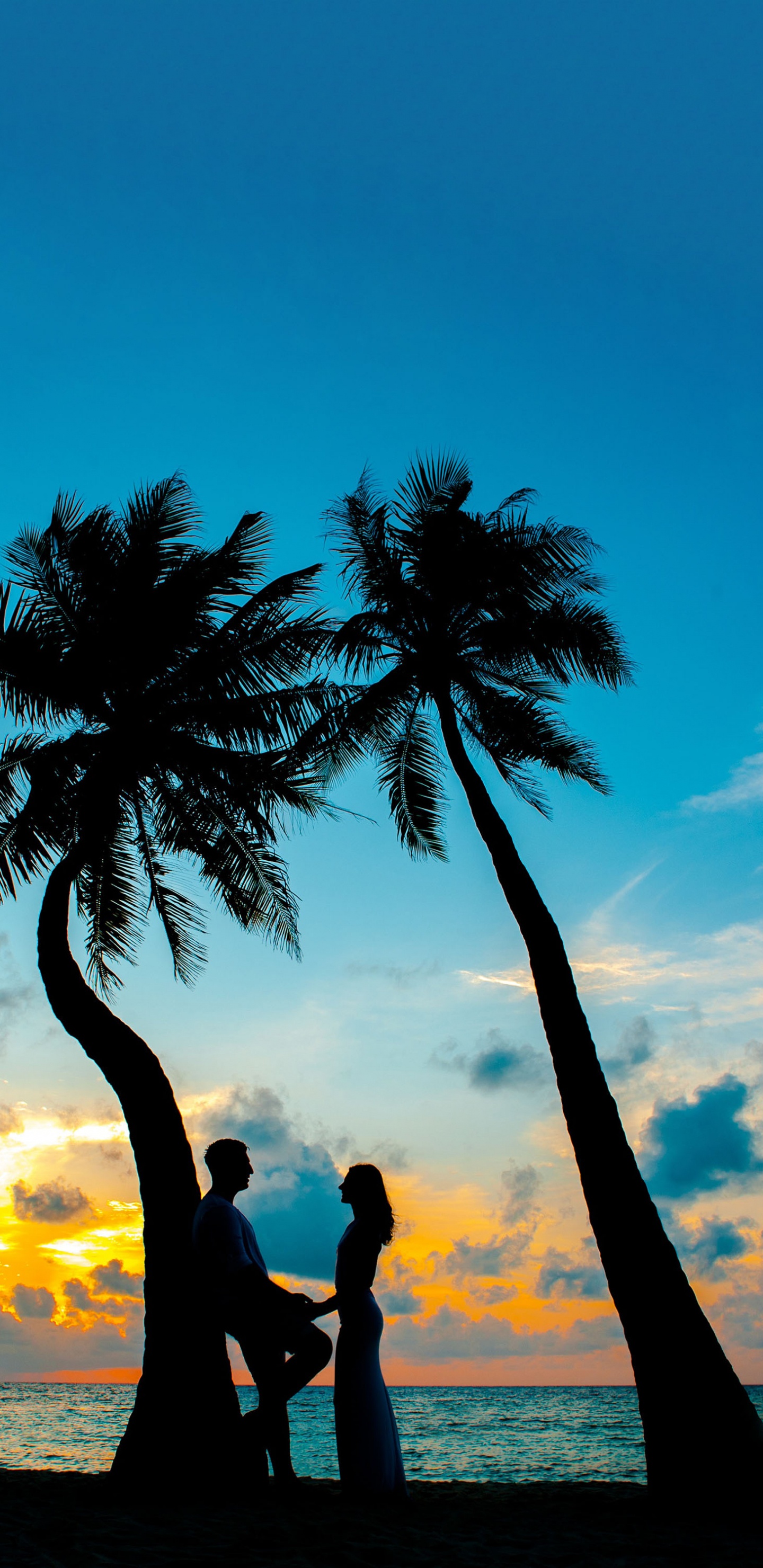 Maldives en Été, Bora Bora, Île, Vacances, Voyage. Wallpaper in 1440x2960 Resolution