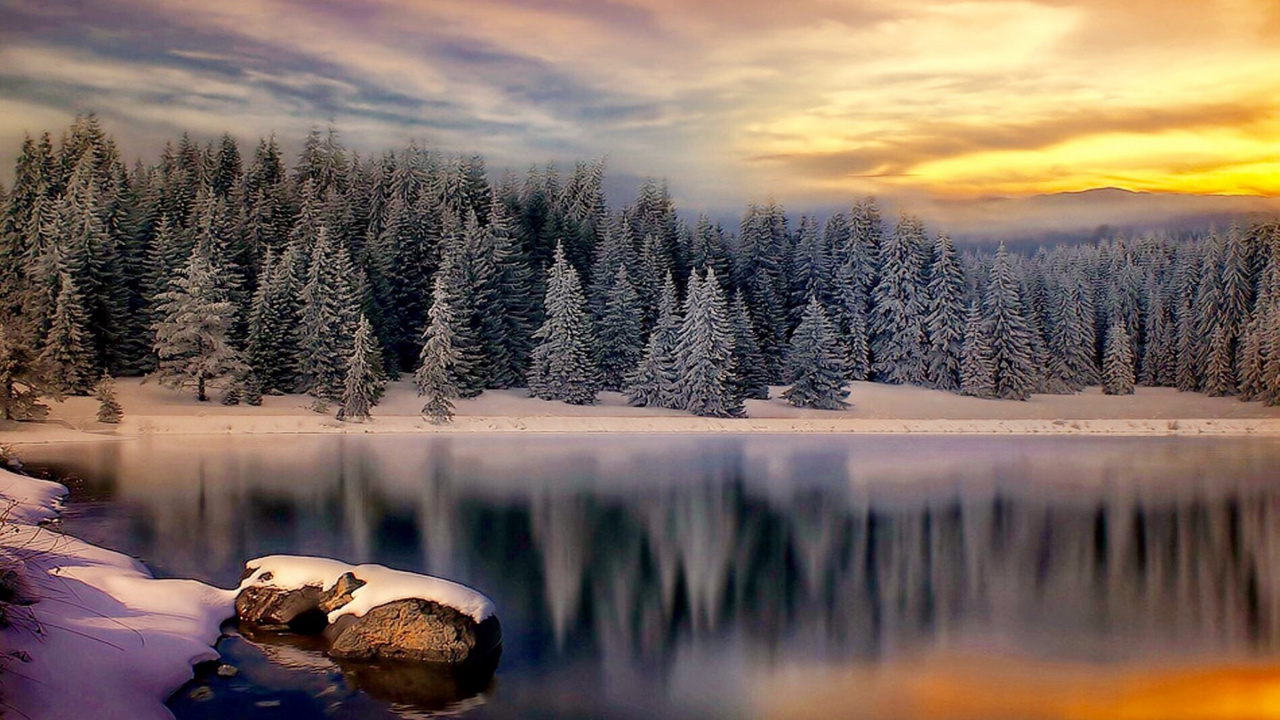 Arbres Couverts de Neige et Lac Pendant la Journée. Wallpaper in 1280x720 Resolution