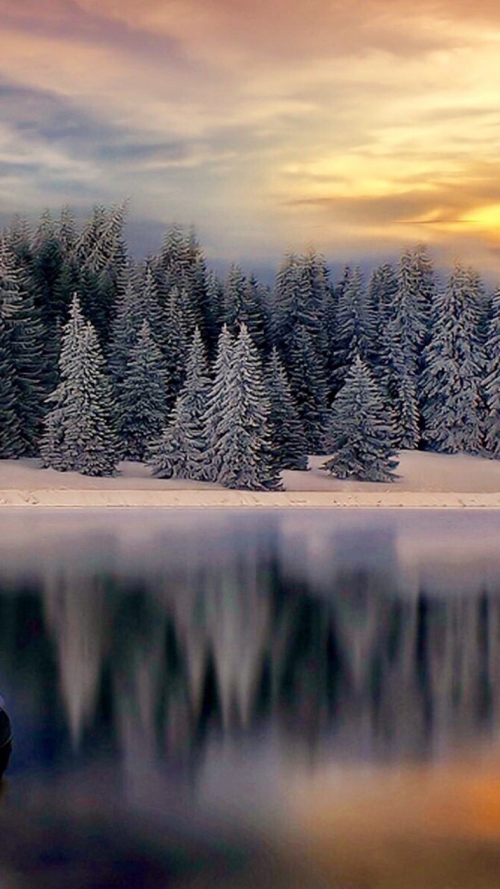 Schneebedeckte Bäume Und See Tagsüber. Wallpaper in 720x1280 Resolution