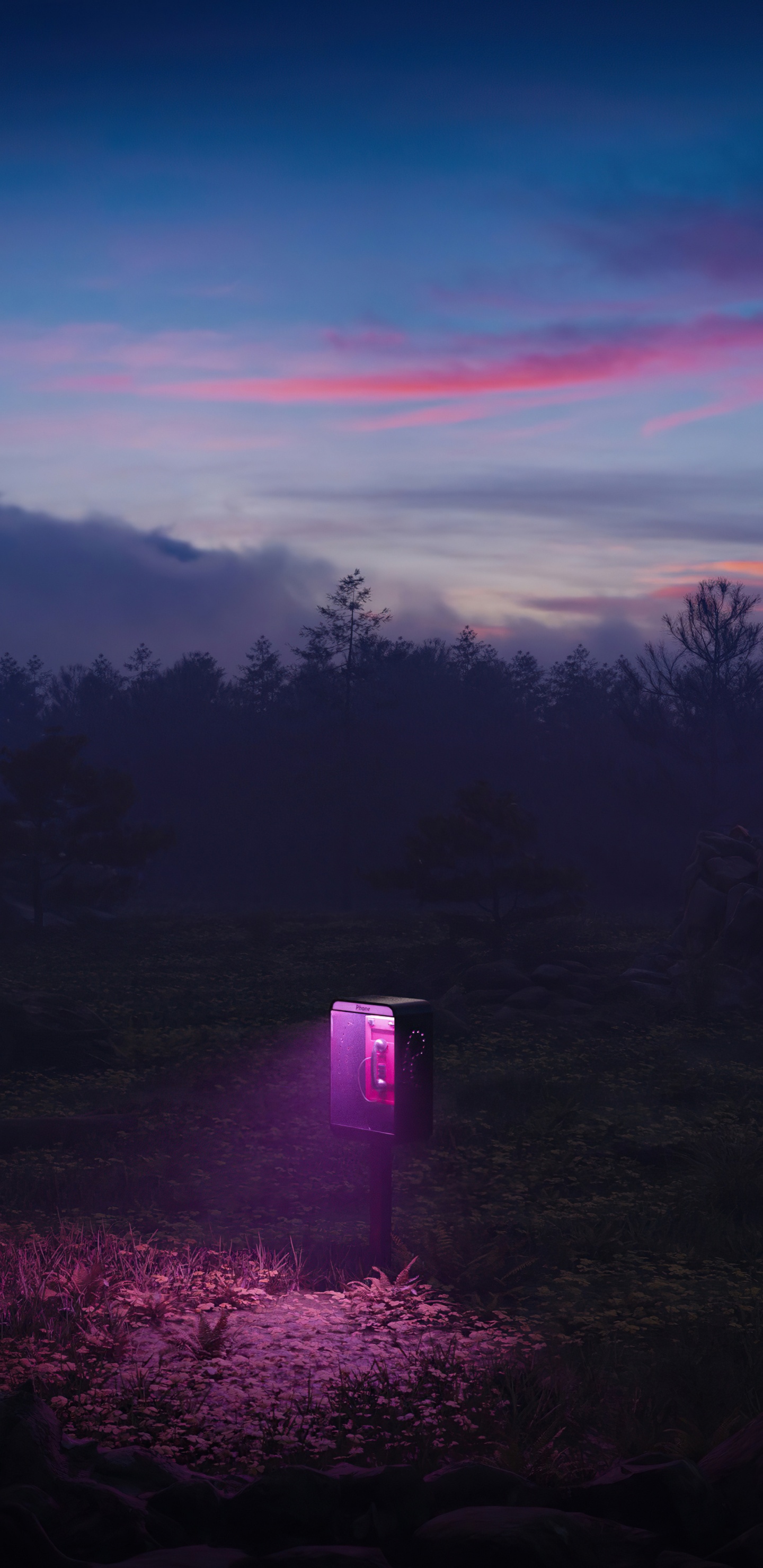 Nature, Mount Scenery, Atmosphère, Purple, Paysage Naturel. Wallpaper in 1440x2960 Resolution