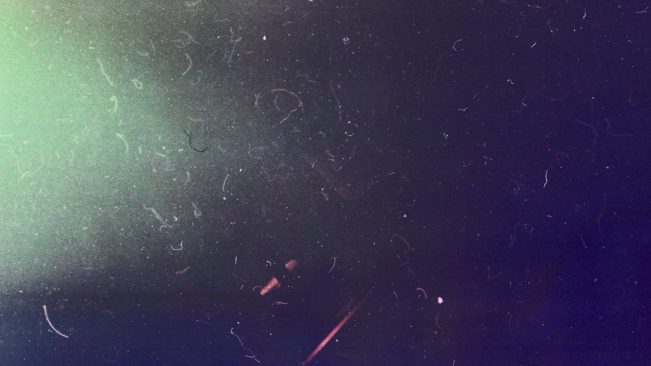 纹理, 气氛, 空间, 午夜, 水下 壁纸 1280x720 允许