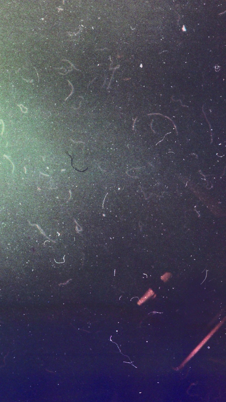 纹理, 气氛, 空间, 午夜, 水下 壁纸 720x1280 允许