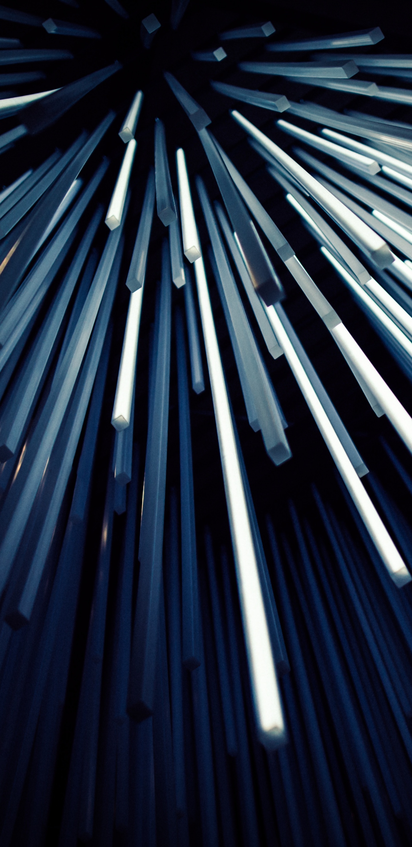 Traînées Lumineuses Bleues et Blanches. Wallpaper in 1440x2960 Resolution