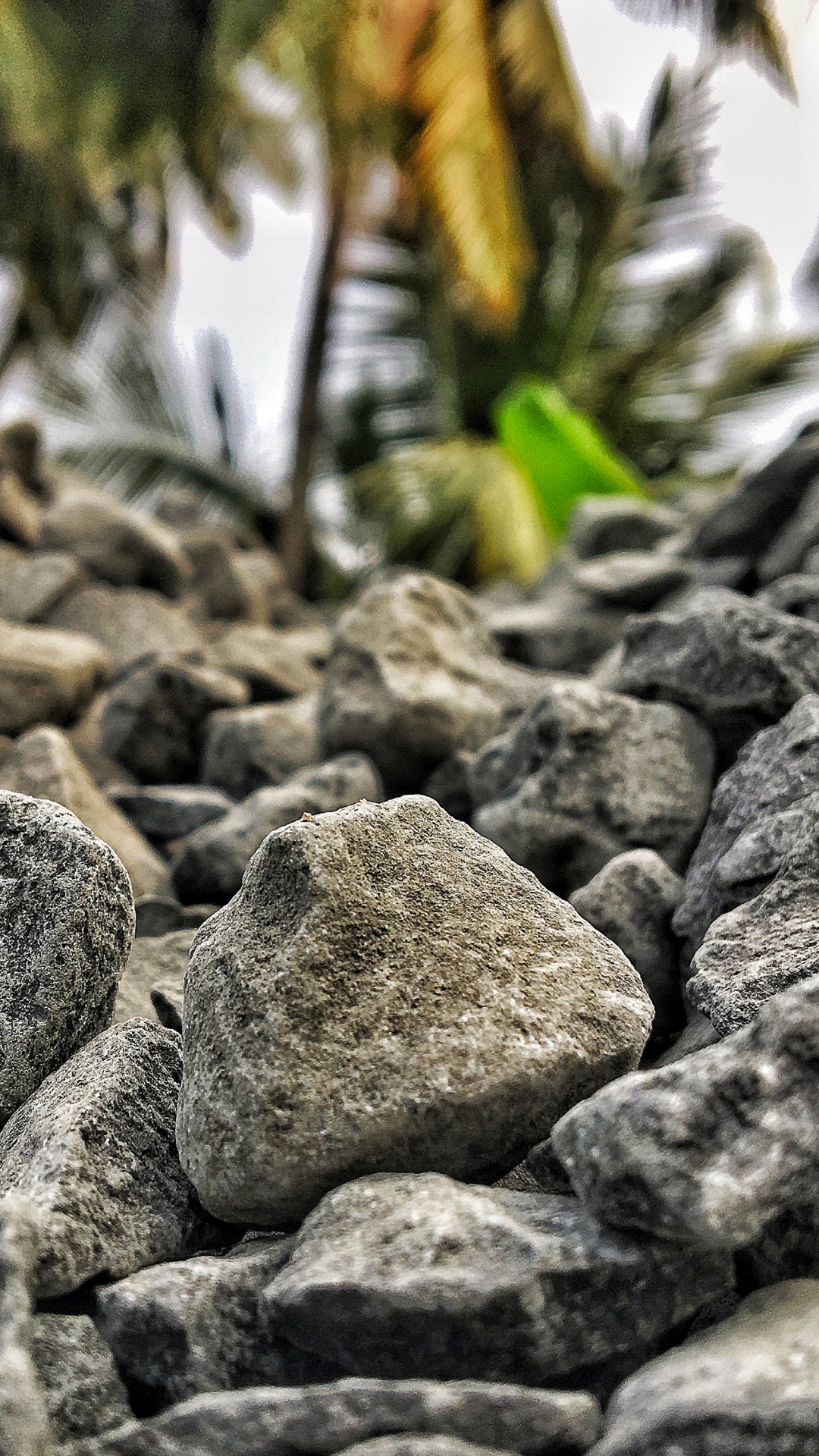 Water, Boulder m Delivery, Rock, Bedrock, Close Up. Wallpaper in 1080x1920 Resolution