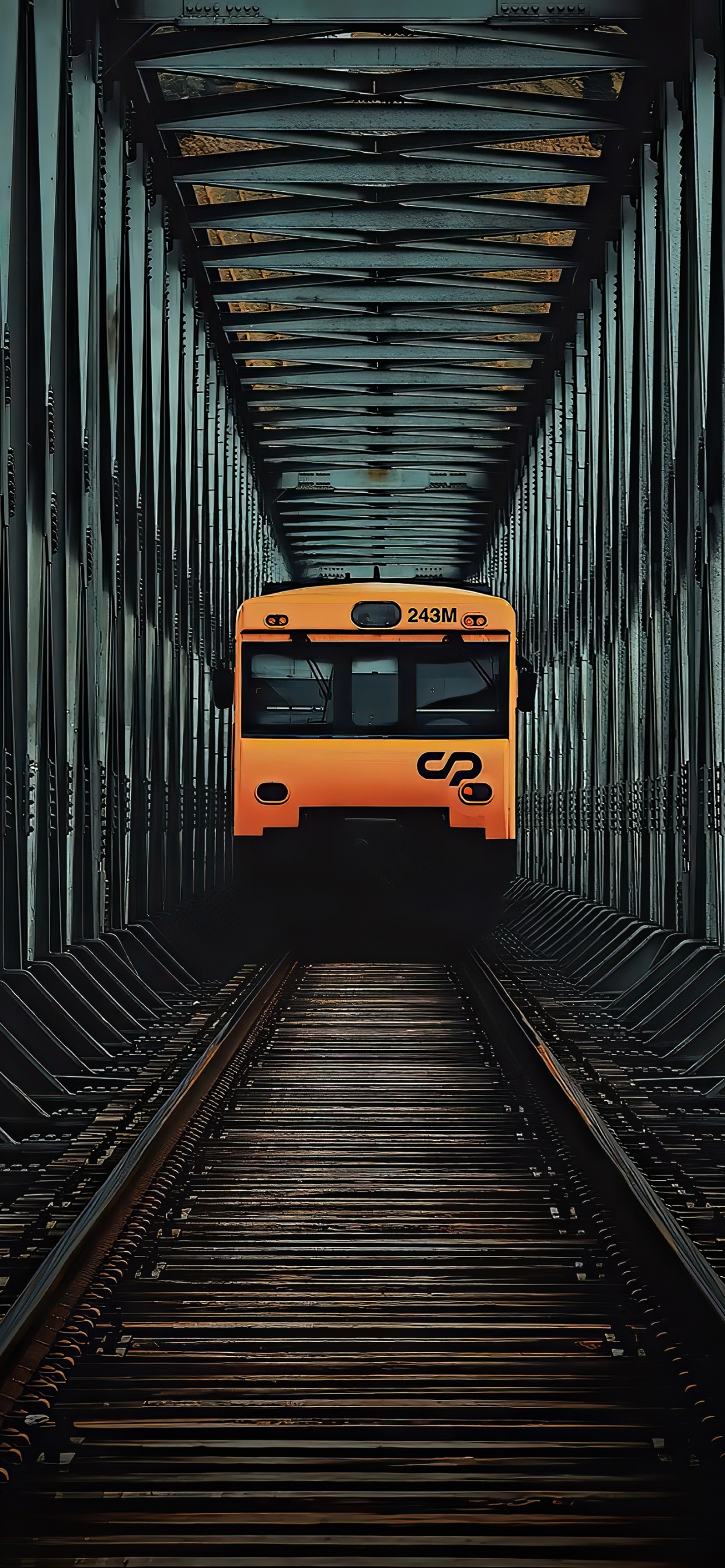 跟踪, 火车, 车灯, 滚股 壁纸 1242x2688 允许