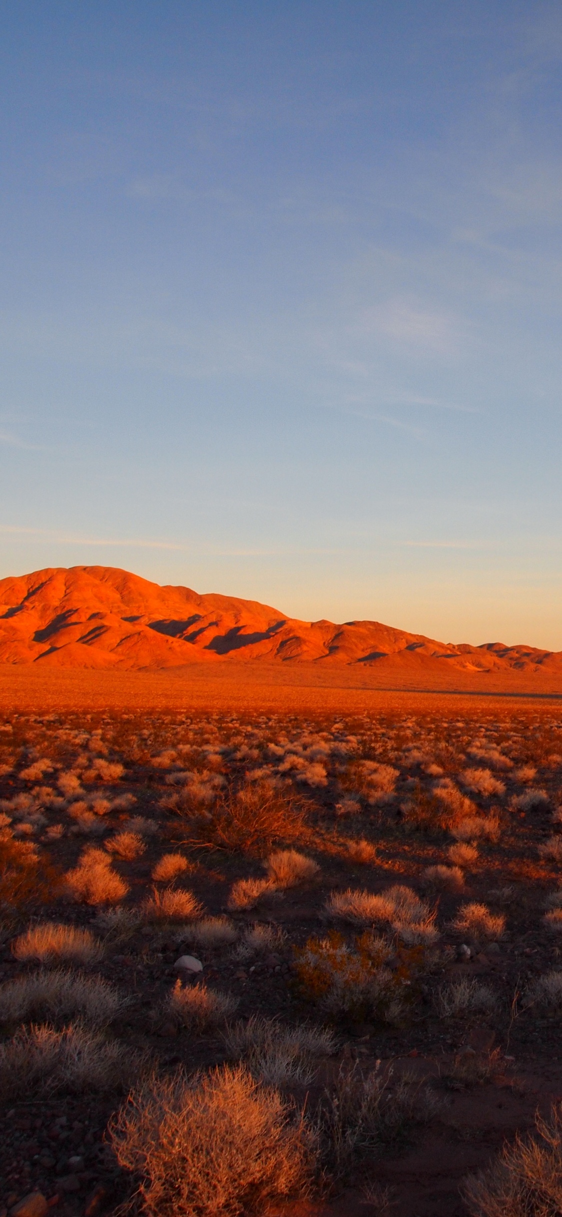Green Grass Field Near Brown Mountains Under Blue Sky During Daytime. Wallpaper in 1125x2436 Resolution