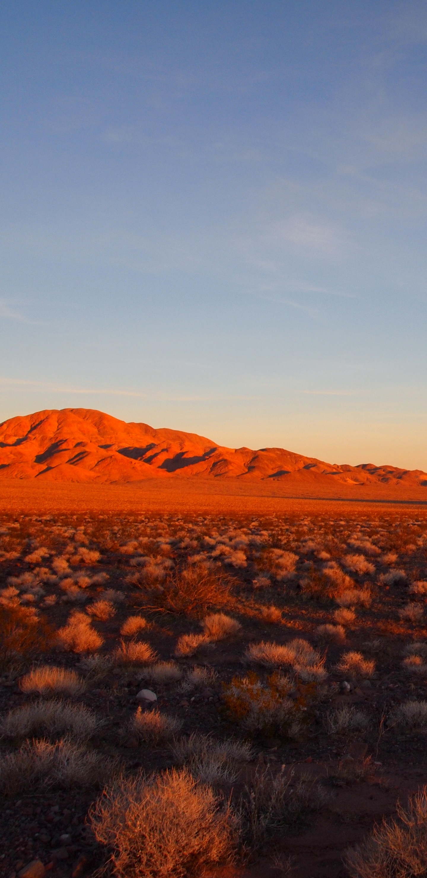 Green Grass Field Near Brown Mountains Under Blue Sky During Daytime. Wallpaper in 1440x2960 Resolution