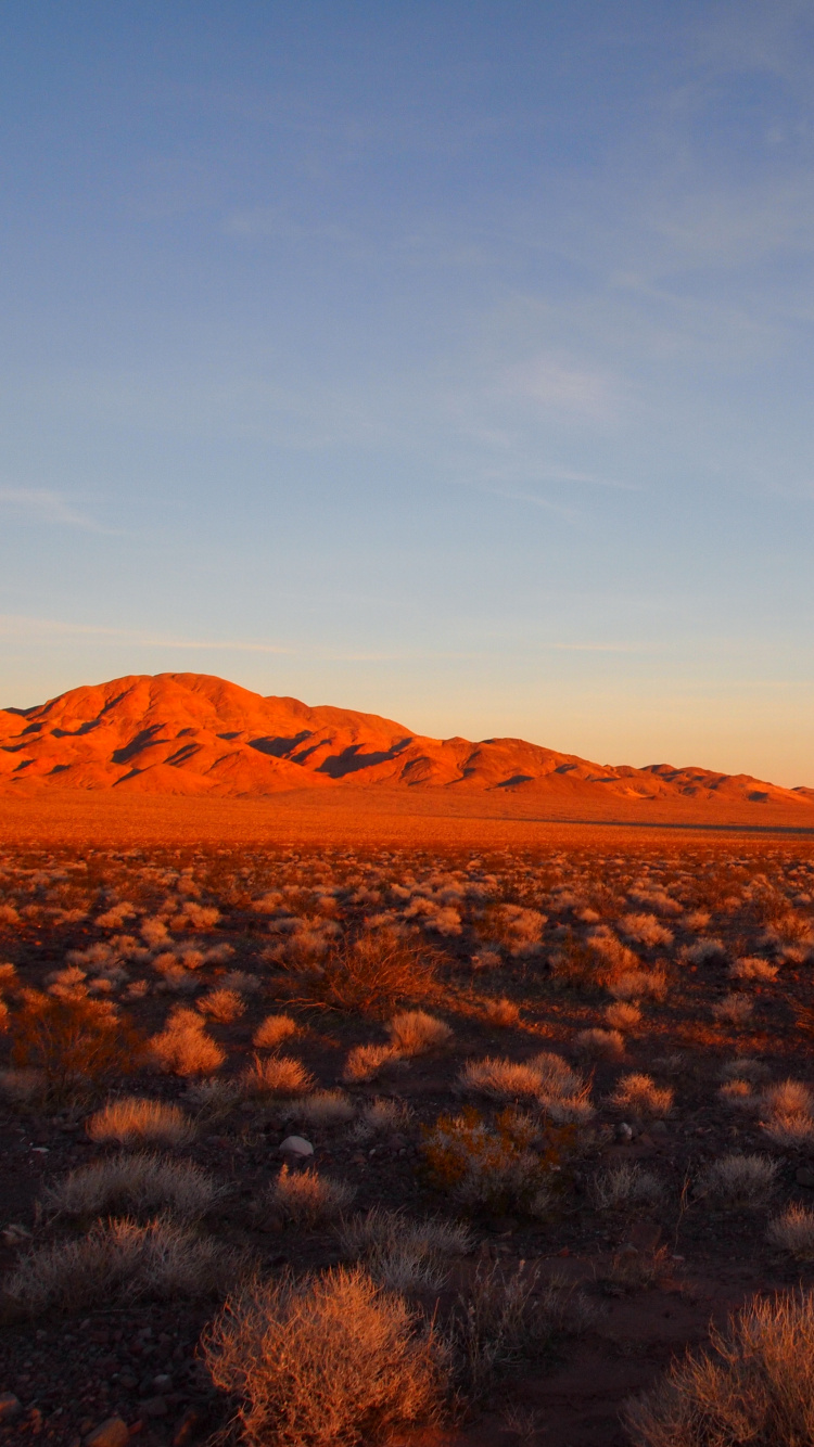 Green Grass Field Near Brown Mountains Under Blue Sky During Daytime. Wallpaper in 750x1334 Resolution