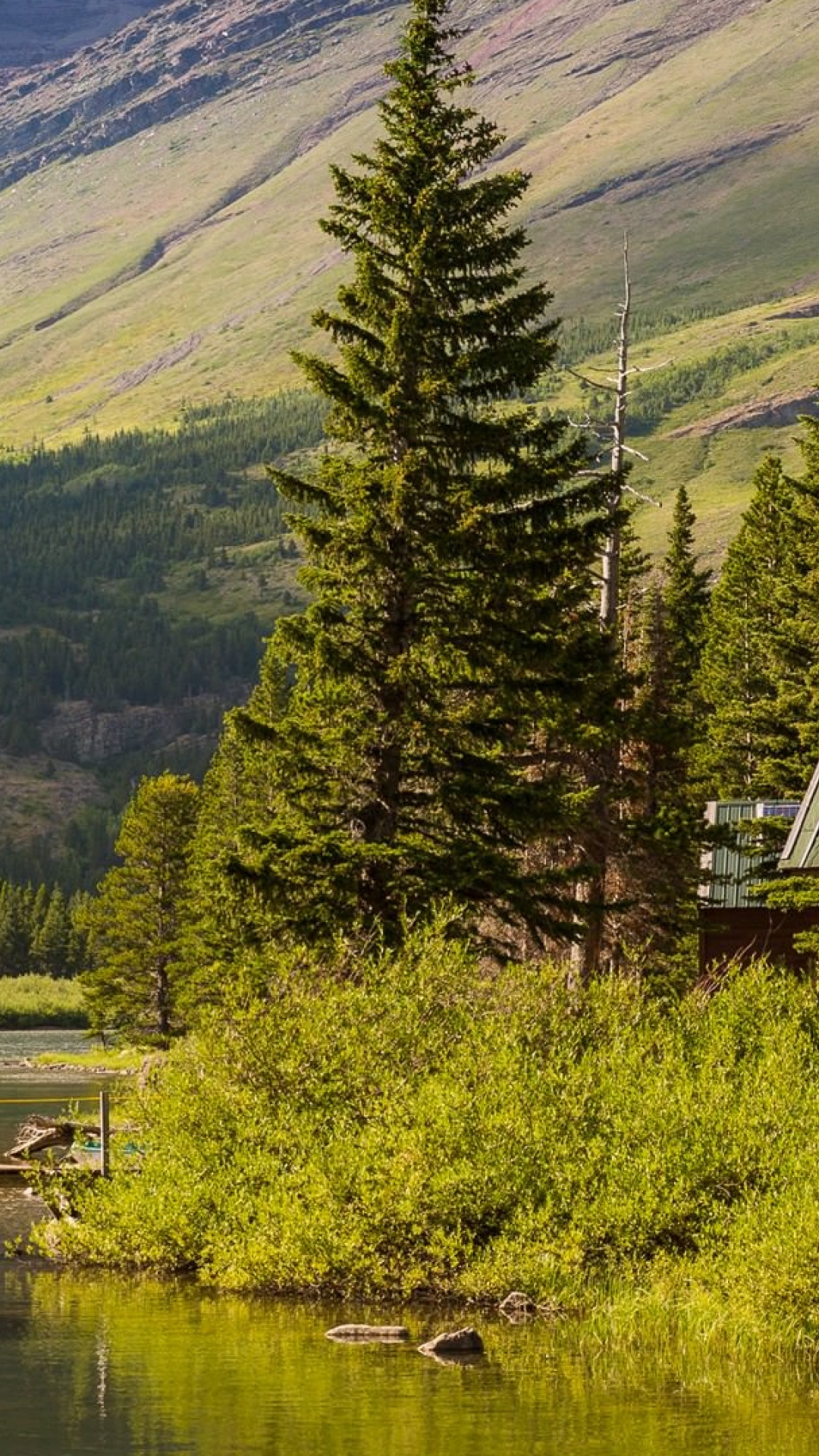 Brown Wooden Dock on Lake Near Green Trees and Mountain During Daytime. Wallpaper in 1080x1920 Resolution