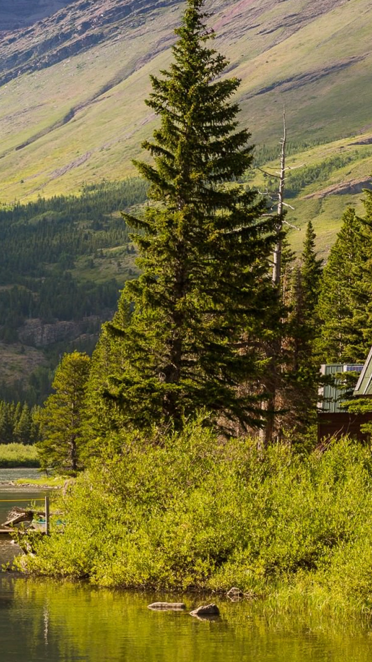 Brown Wooden Dock on Lake Near Green Trees and Mountain During Daytime. Wallpaper in 750x1334 Resolution
