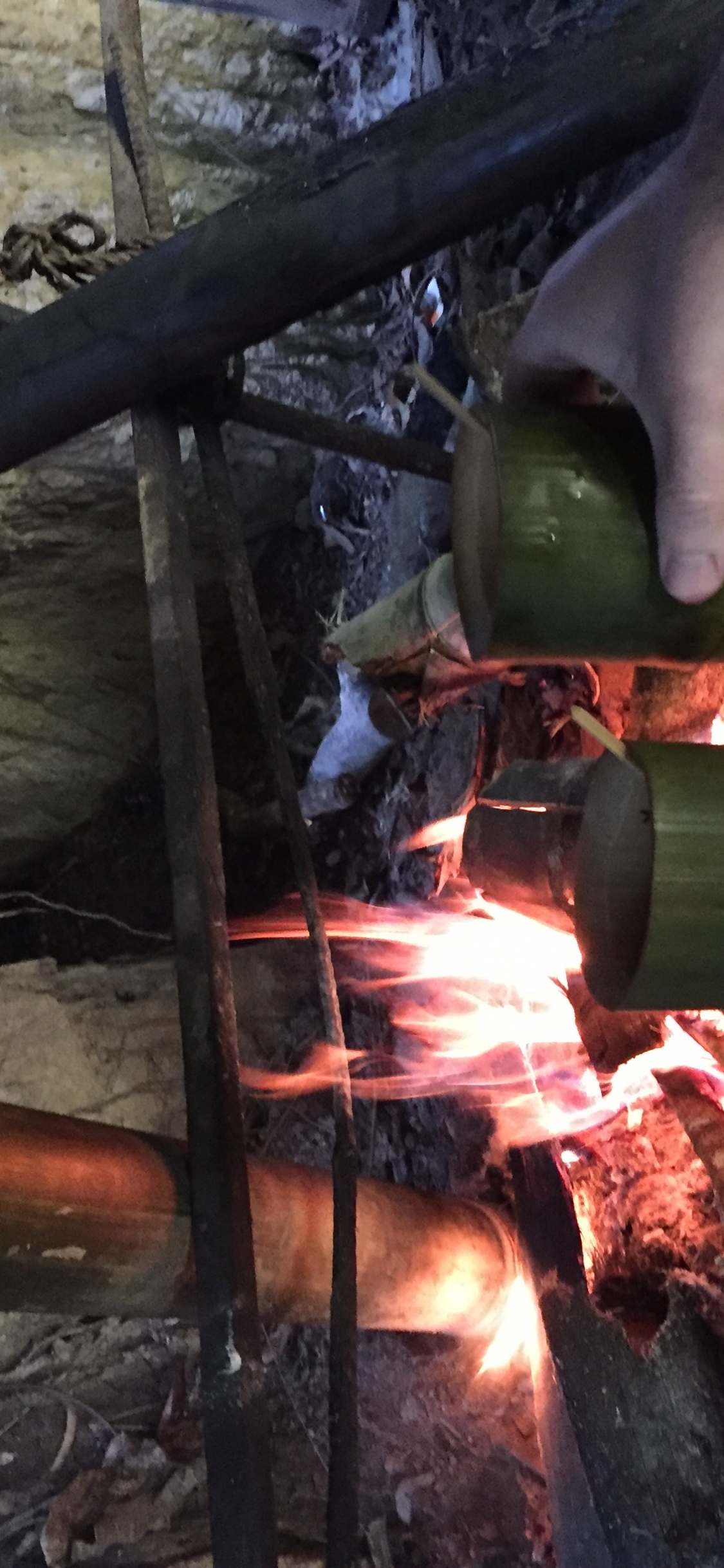 Soldador, Naturaleza, Madera, Neumáticos Para Automóviles, Sucursal. Wallpaper in 1125x2436 Resolution