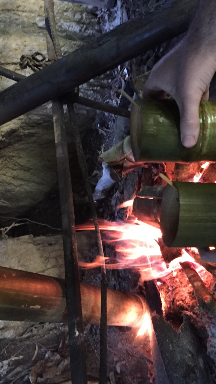 Welder, Nature, Wood, Automotive Tire, Lighting. Wallpaper in 720x1280 Resolution