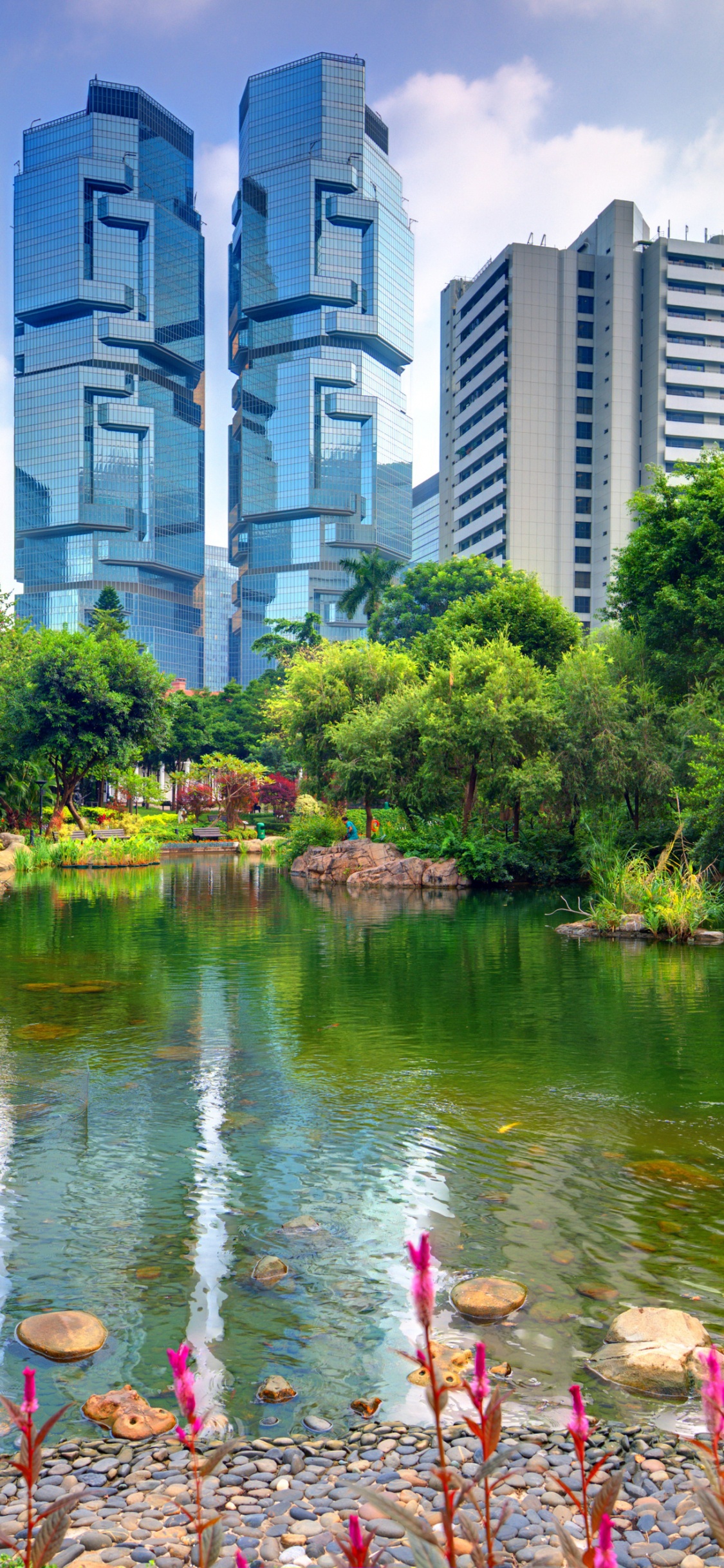 Arbres Verts Près du Plan D'eau Pendant la Journée. Wallpaper in 1125x2436 Resolution