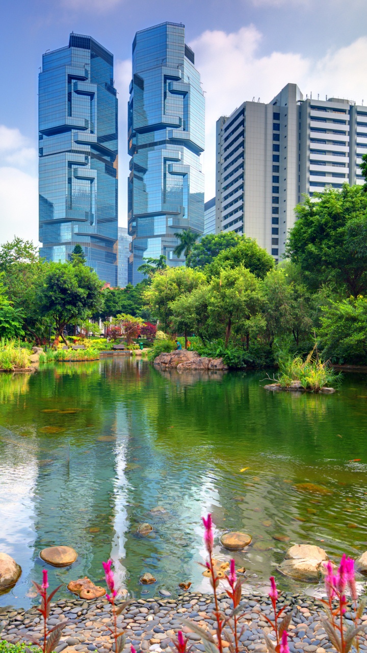 Green Trees Near Body of Water During Daytime. Wallpaper in 720x1280 Resolution