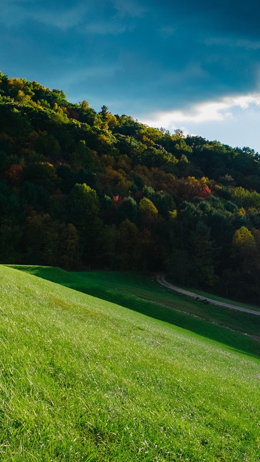 Tagsüber Grüne Wiese Und Bäume Unter Blauem Himmel. Wallpaper in 1080x1920 Resolution