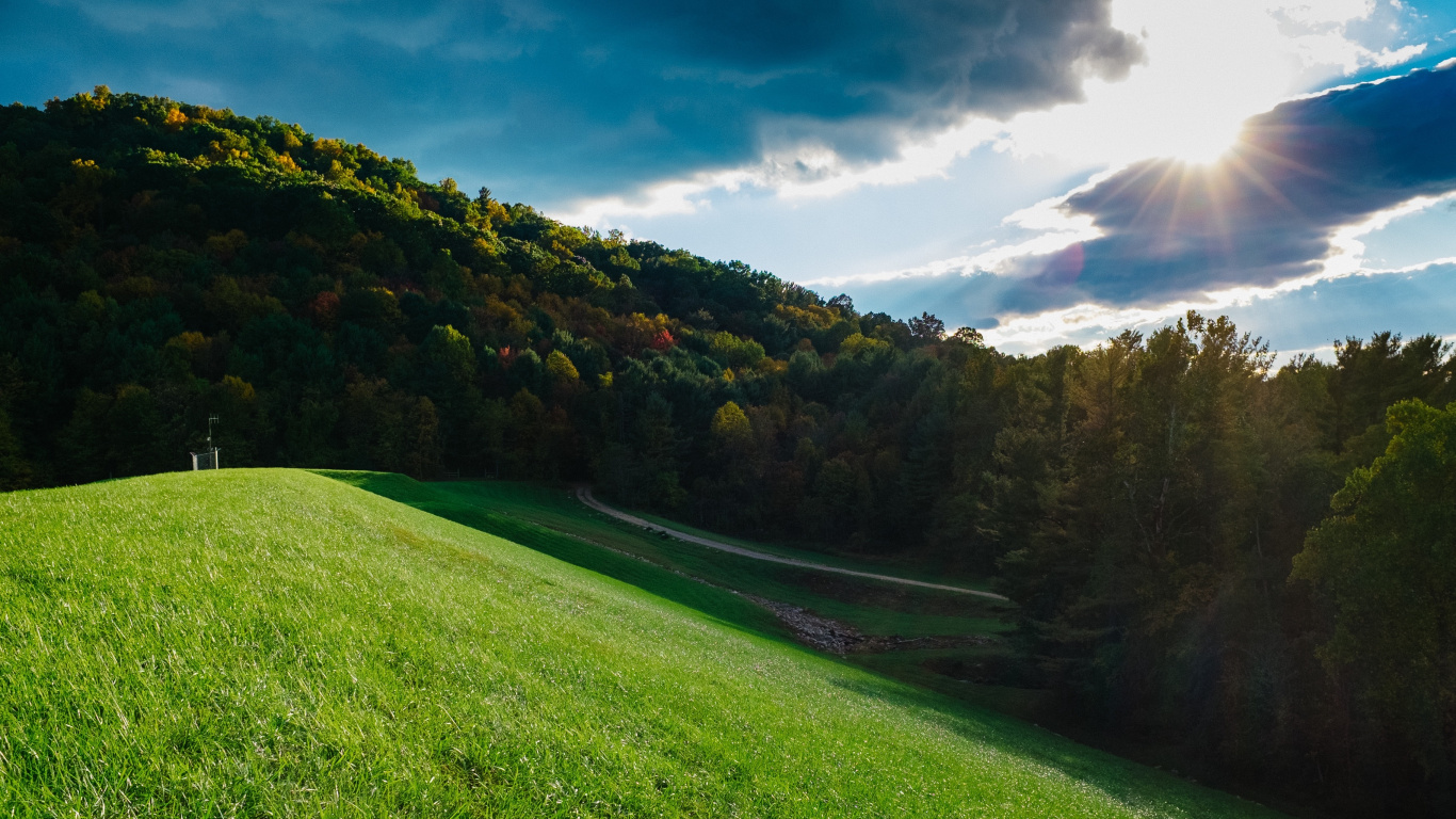 Tagsüber Grüne Wiese Und Bäume Unter Blauem Himmel. Wallpaper in 1366x768 Resolution