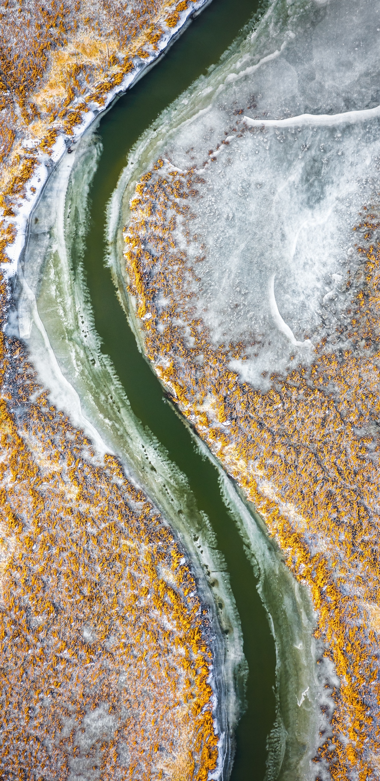 Mineralquelle, Geologie, Wasserressourcen, Gewässer, Wasser. Wallpaper in 1440x2960 Resolution