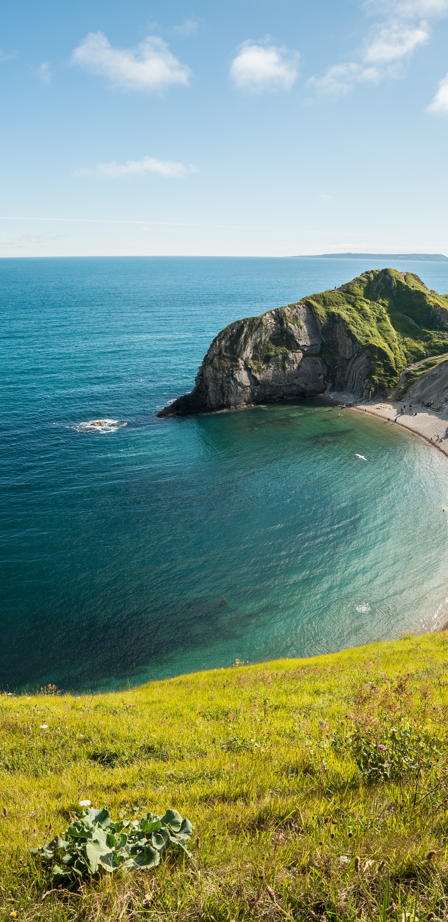 Monitor Frontech 22 Pulgadas Precio, Iluminar Desde el Fondo, Fronttech, HDMI, Frontech Jil-1978. Wallpaper in 1440x2960 Resolution