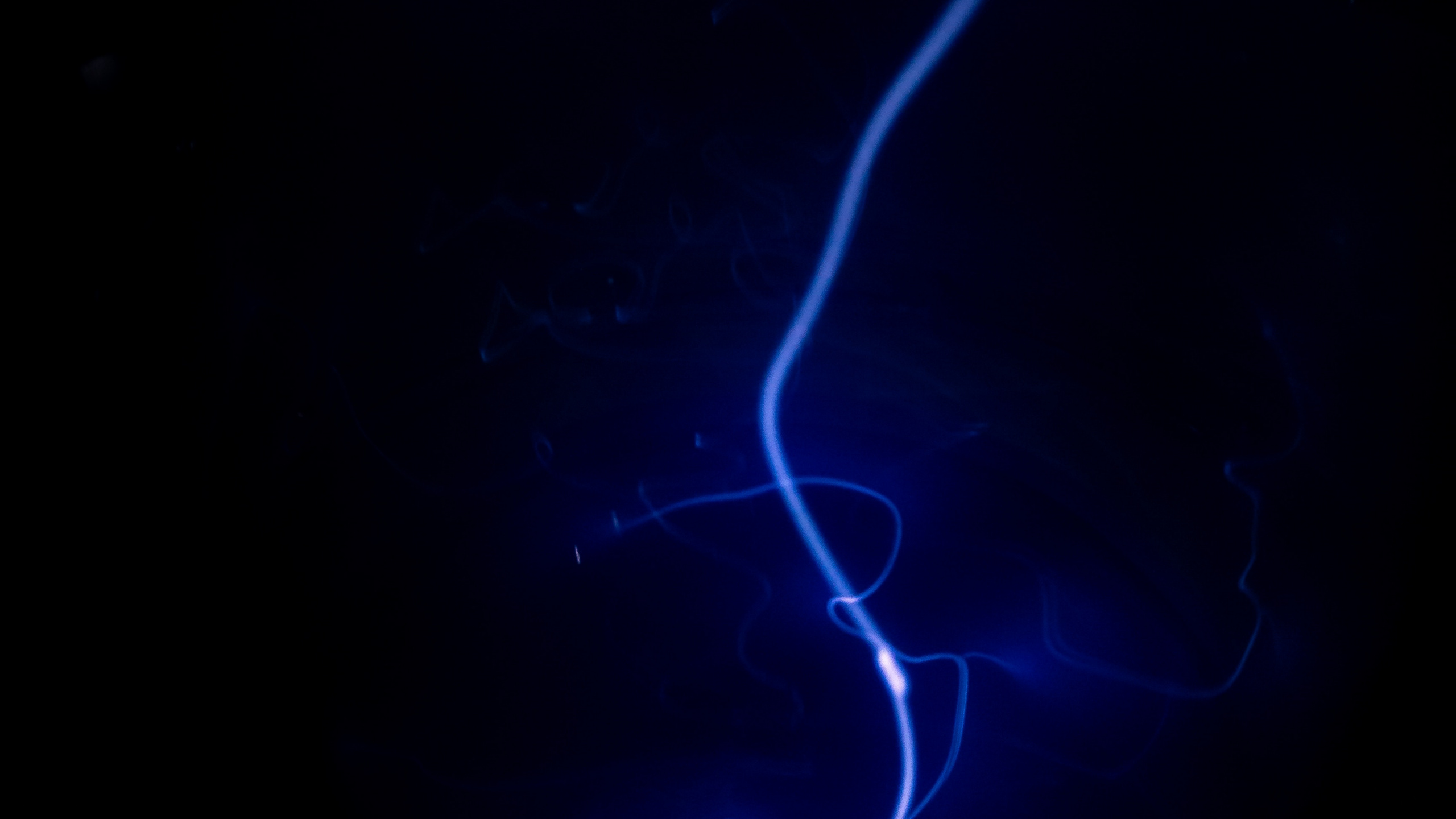 Blue and White Light Illustration. Wallpaper in 2560x1440 Resolution