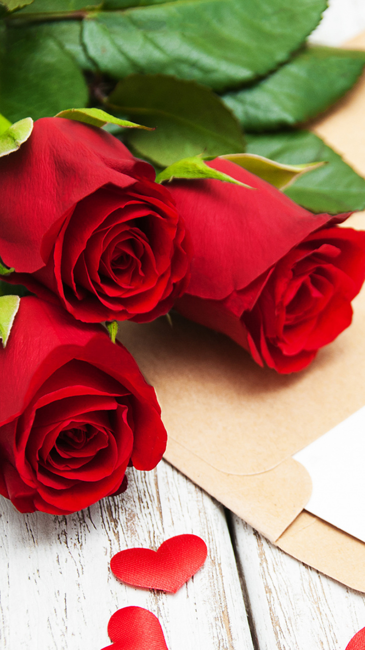 Valentines Day, Heart, Red, Rose, Petal. Wallpaper in 750x1334 Resolution