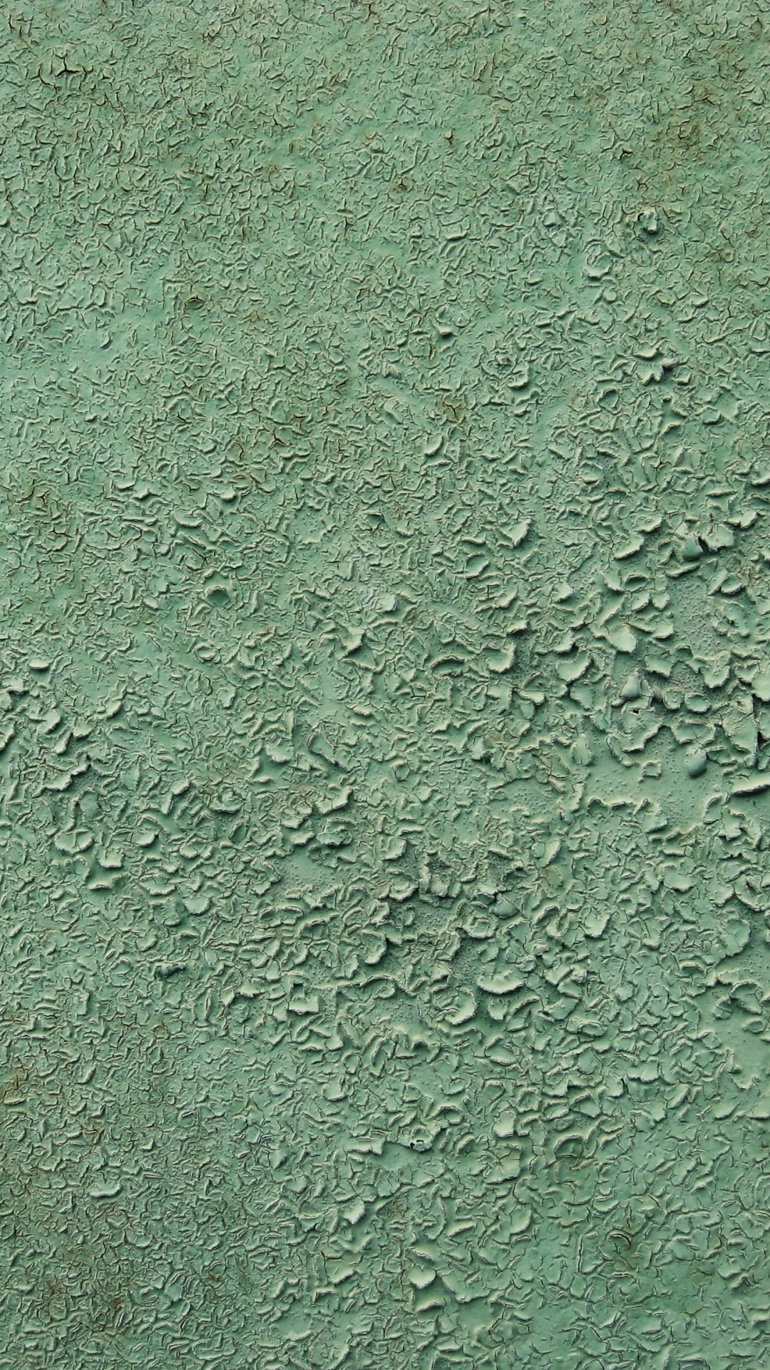 纹理, 绿色的, 草 壁纸 1080x1920 允许