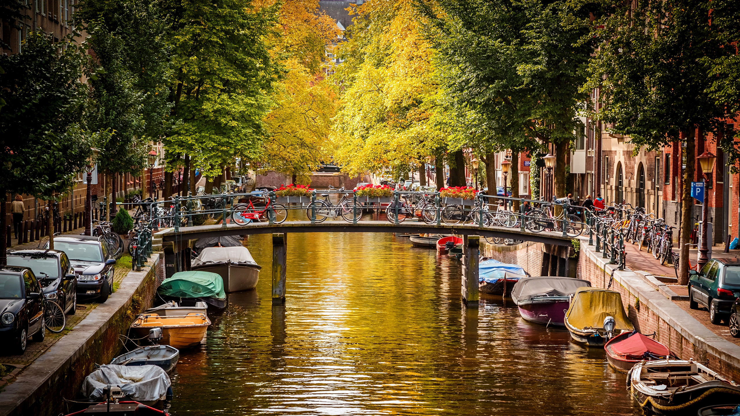 Boats on River Near Green Trees During Daytime. Wallpaper in 2560x1440 Resolution