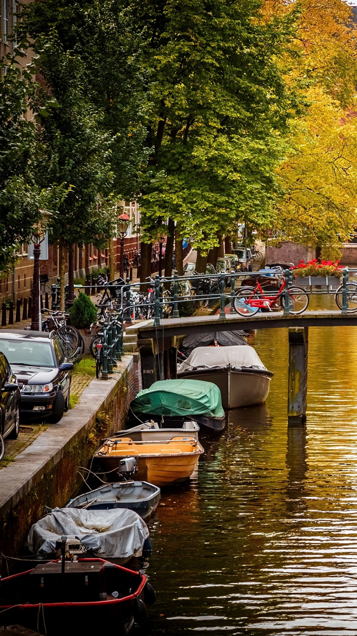 Boats on River Near Green Trees During Daytime. Wallpaper in 720x1280 Resolution