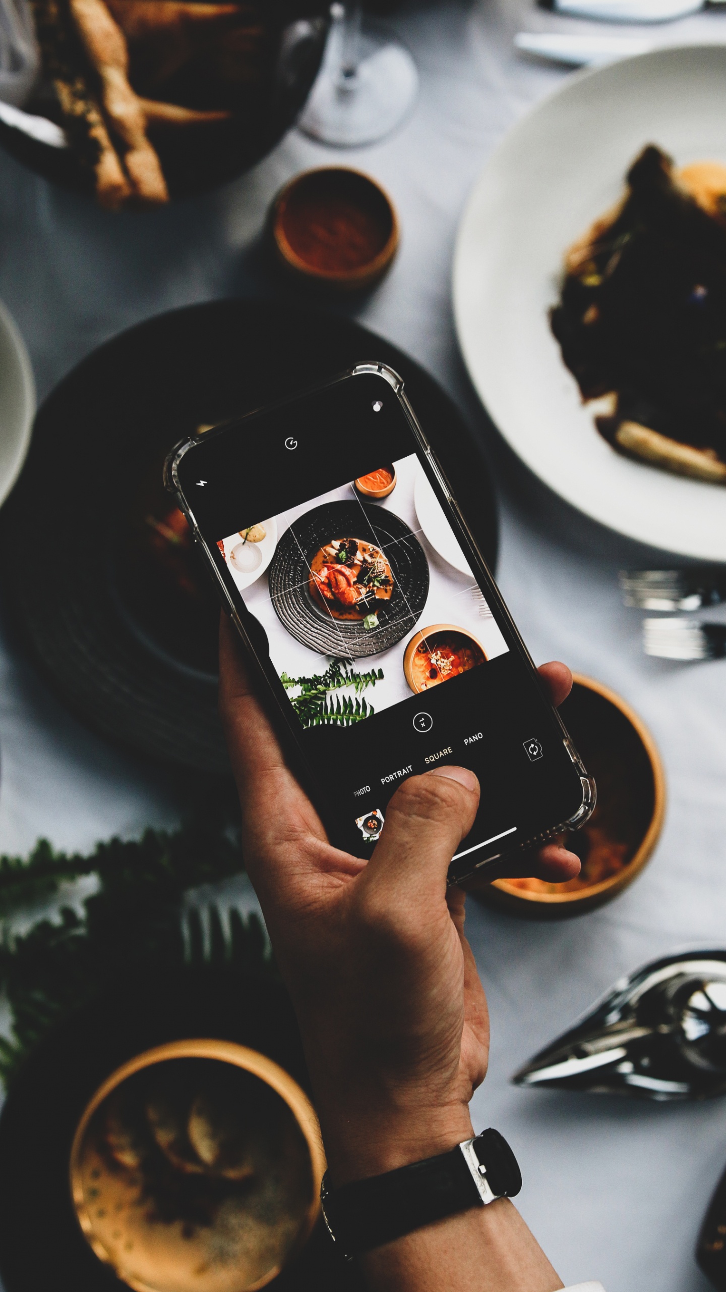 Dish, The French Laundry Per Se, Mexican Cuisine, Restaurant, Cookbook. Wallpaper in 1440x2560 Resolution