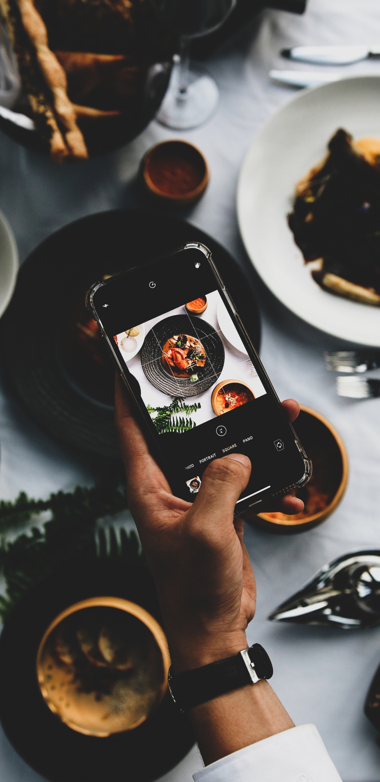 Gericht, Die Französische Wäscherei an Sich, Mexikanische Küche, Restaurant, Kochbuch. Wallpaper in 1440x2960 Resolution