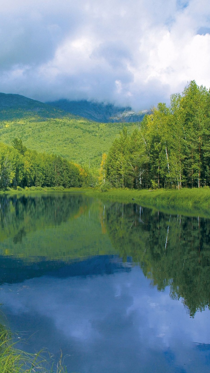 Grüne Bäume Neben Dem Fluss Unter Weißen Wolken Und Blauem Himmel Tagsüber. Wallpaper in 720x1280 Resolution