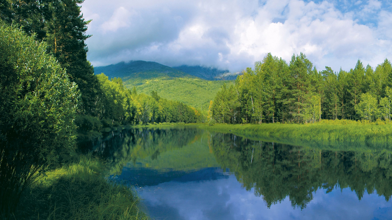 Green Trees Beside River Under White Clouds and Blue Sky During Daytime. Wallpaper in 1366x768 Resolution