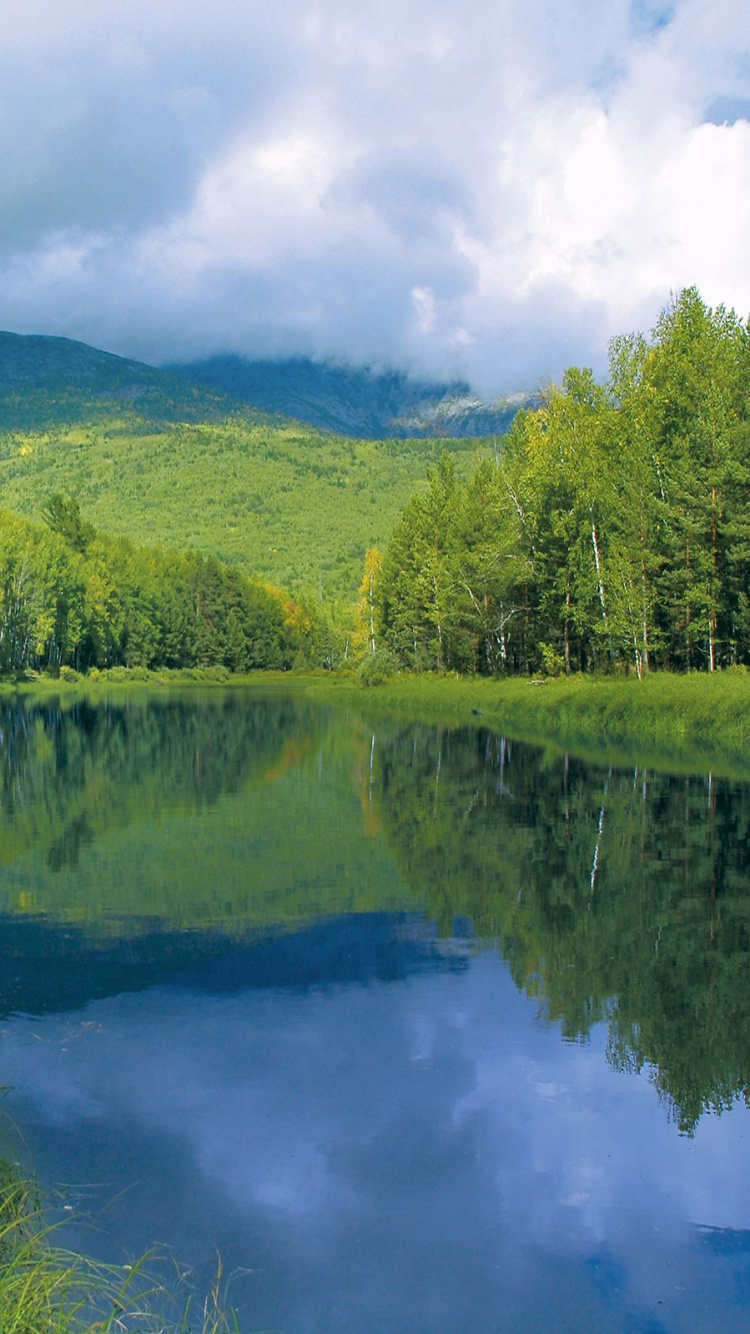 Green Trees Beside River Under White Clouds and Blue Sky During Daytime. Wallpaper in 750x1334 Resolution