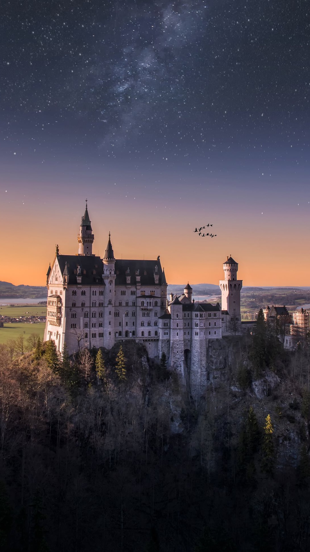 Neuschwanstein, Fssen, Château, Palais, Bâtiment. Wallpaper in 1080x1920 Resolution